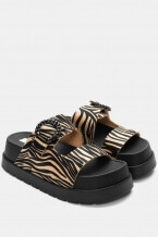 Zebra Bej