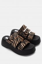 Zebra-Beige
