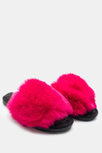 Fucsia