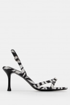 Zebra White-Black